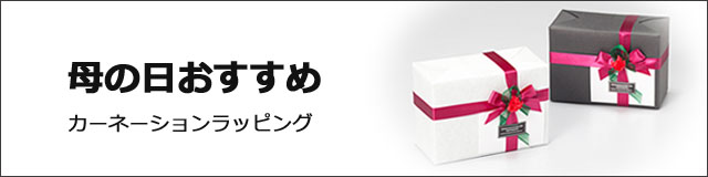 母の日 おすすめ カーネーションラッピング 早割 rayes レイエス ダブルウォールグラス