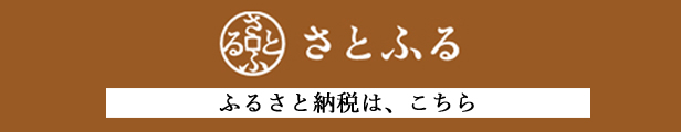 さとふる　ふるさと納税　　rayes レイエス　ダブルウォールグラス